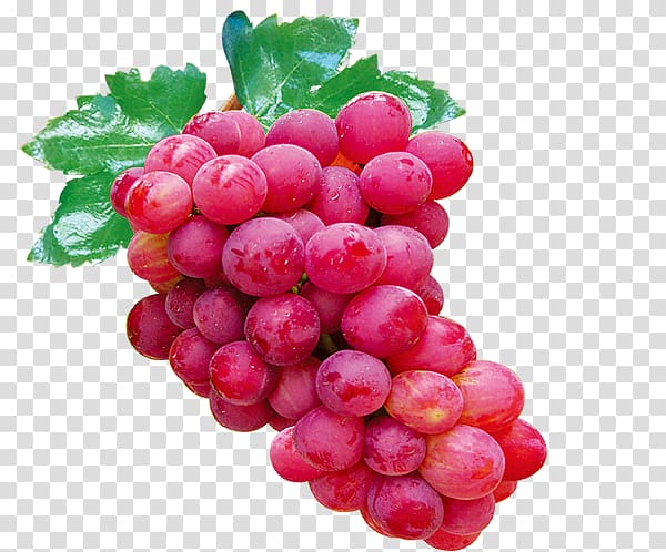 Grape Auglis Icon, red grapes transparent background PNG clipart