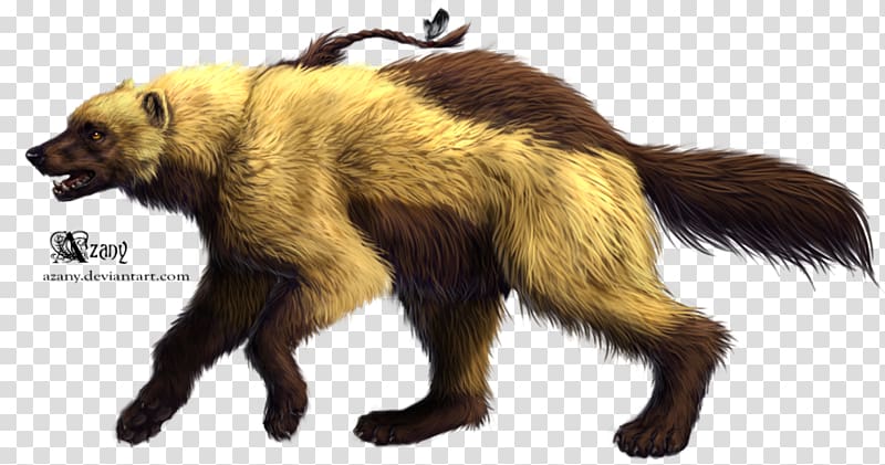 Wolverine Drawing Mustelids, animals draw transparent background PNG clipart