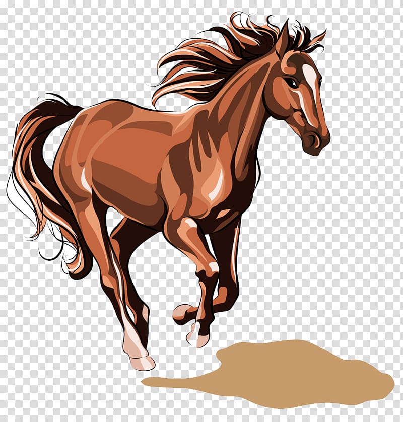 Horse Stallion Illustration, Running horse transparent background PNG clipart