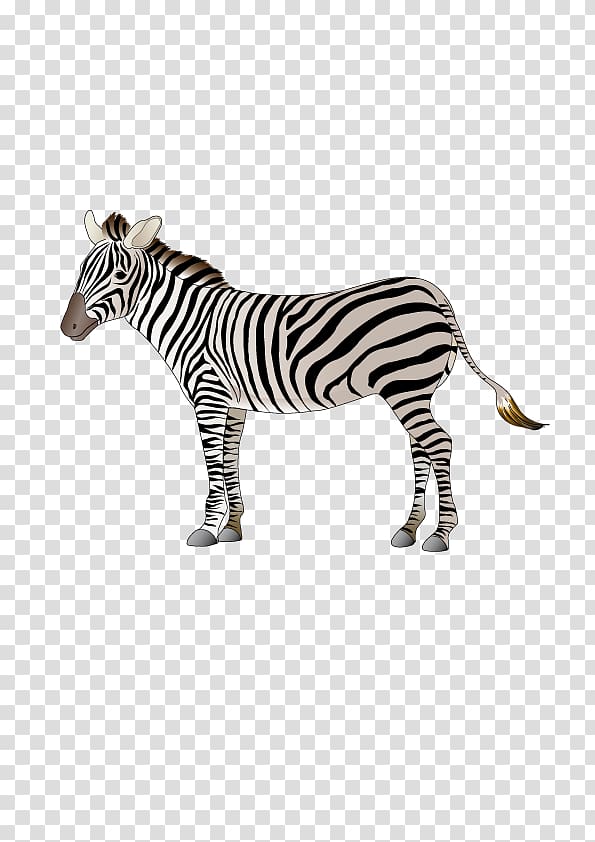 Cartoon Logo Zebra, zebra transparent background PNG clipart