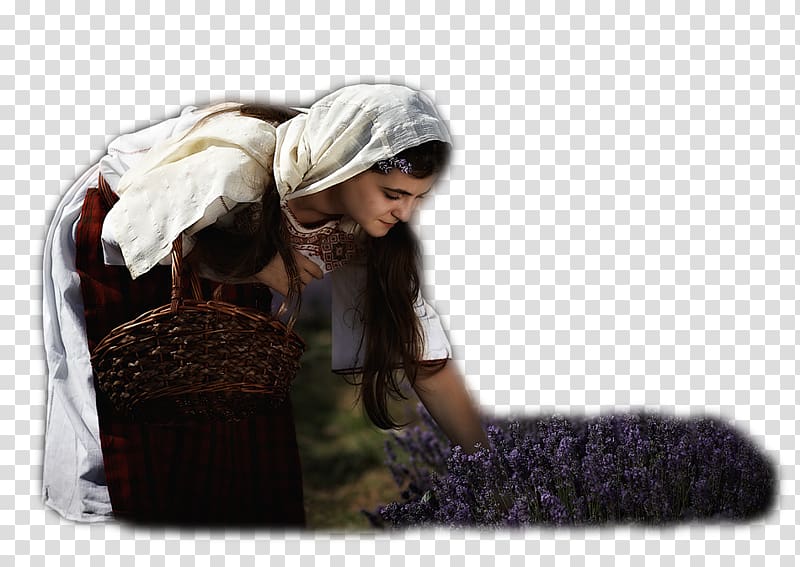 Rose Valley, Bulgaria Miss Universe Bulgaria Lavender Baba Marta, others transparent background PNG clipart