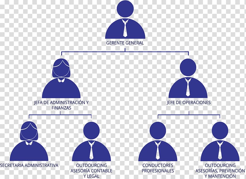 Organizational chart Empresa Human resource management, organs transparent background PNG clipart