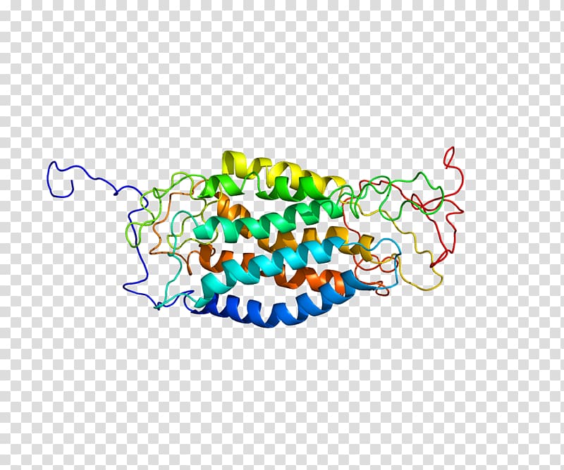 CCR5 Mutation Receptor Chemokine Innate resistance to HIV, others transparent background PNG clipart