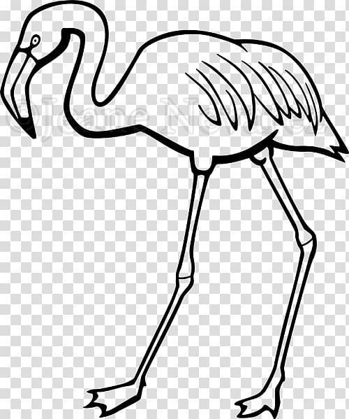 white flamingo clipart