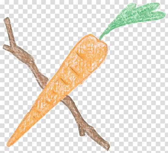 Carrot and stick Baby carrot , pig money pot transparent background PNG clipart