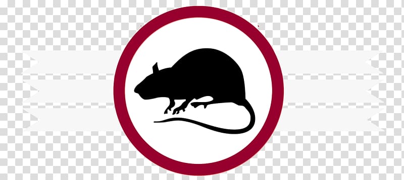 Cat Pest Control Cockroach Rat, Cat transparent background PNG clipart