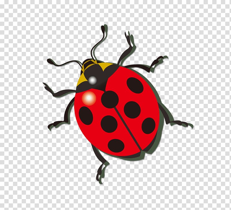 ladybug PNG image transparent image download, size: 556x549px