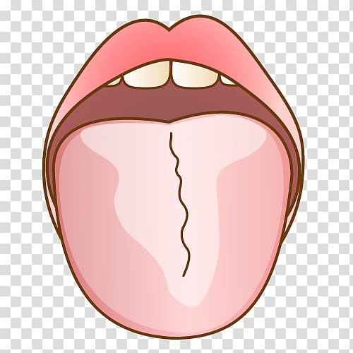 舌苔 Dentist Tongue 歯科 Tooth, tongue transparent background PNG clipart