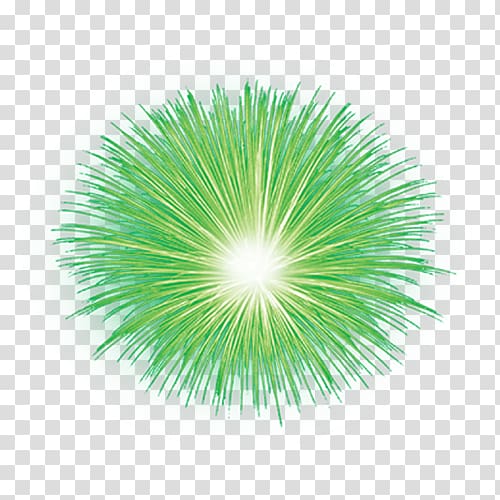 green grass illustration, Fireworks transparent background PNG clipart