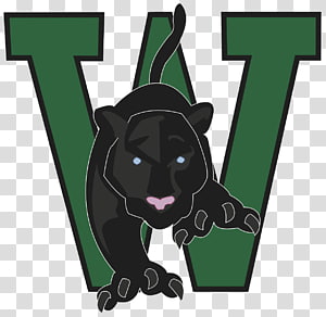 Big cat Dog Canidae , Cat transparent background PNG clipart thumbnail