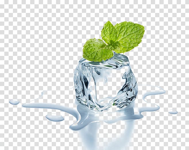 ice cube , Ice Mint Melting Menthol , Ice transparent background PNG clipart