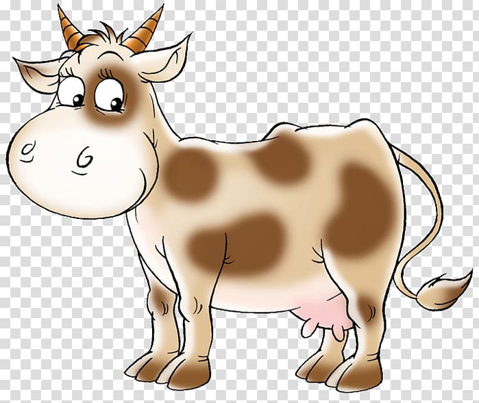 Cattle Calf Live , design transparent background PNG clipart
