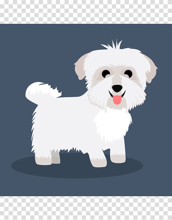 Maltese dog Havanese dog West Highland White Terrier Puppy Dog breed, puppy transparent background PNG clipart