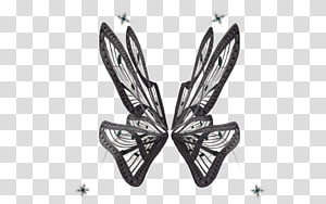 Butterfly , butterfly transparent background PNG clipart thumbnail