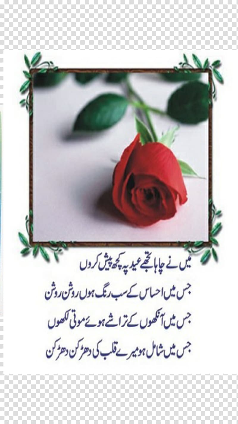 Urdu poetry Eid al-Fitr Eid al-Adha, good morning poetry in urdu transparent background PNG clipart