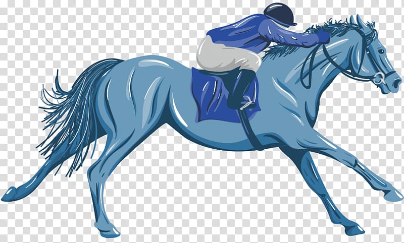 Mane Pony Mustang Stallion English riding, mustang transparent background PNG clipart