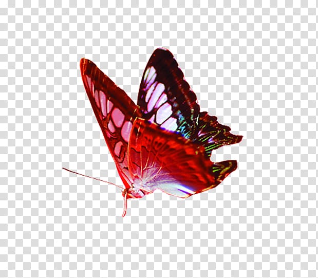 yellow, white, and brown butterfly, Butterfly Gratis Red, butterfly transparent background PNG clipart