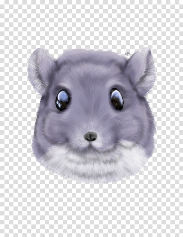 Gerbil Hamster Dormouse Whiskers, mouse transparent background PNG clipart