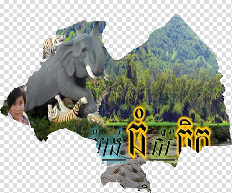 Dinosaur Fauna Kampong Thom Province Tourism Wildlife, dinosaur transparent background PNG clipart