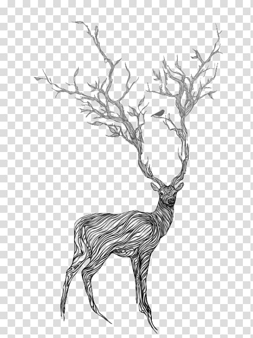 Deer Drawing Art Painting, deer transparent background PNG clipart