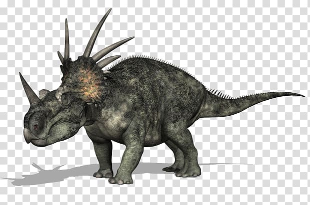 Styracosaurus Drawing , Styracosaurus transparent background PNG clipart