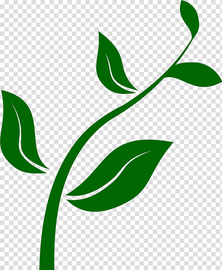 Plant , Seed Planting transparent background PNG clipart