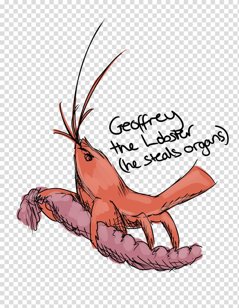Decapods Vertebrate Illustration Character, lobster alive transparent background PNG clipart