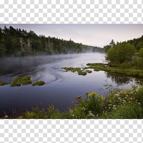 Bayou Nature reserve Loch Pond Inlet, Letchworth State Park transparent background PNG clipart