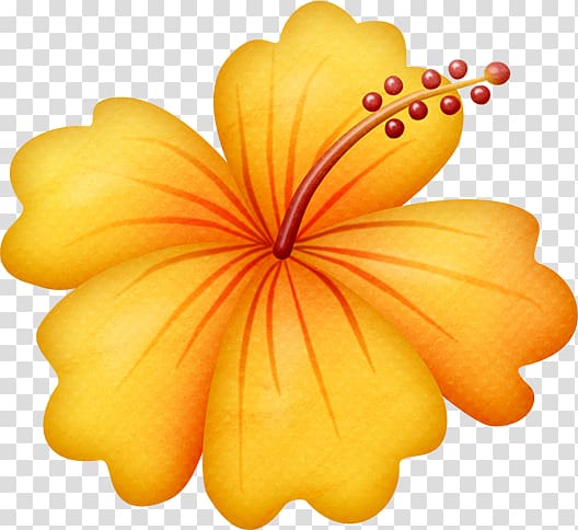 Cuisine of Hawaii Portable Network Graphics Flower, flower transparent background PNG clipart