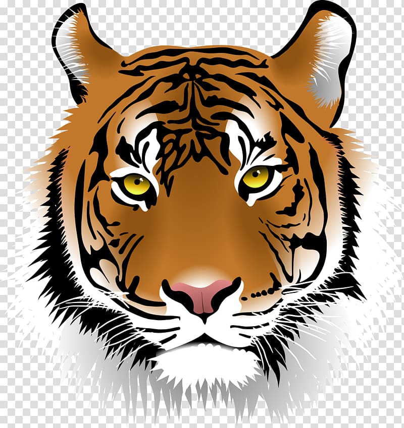 Sriracha Tiger Zoo Bengal tiger , Tiger Face transparent background PNG clipart