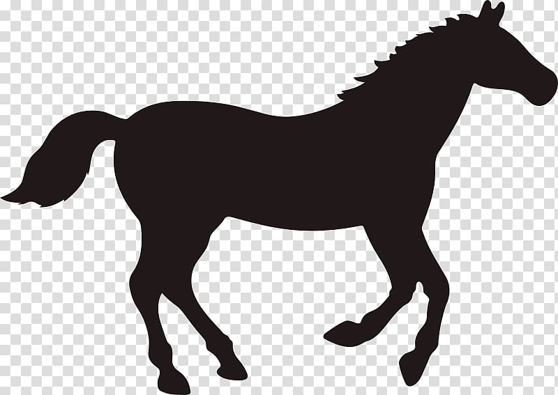 Rocky Mountain Horse graphics Black, Silhouette transparent background PNG clipart
