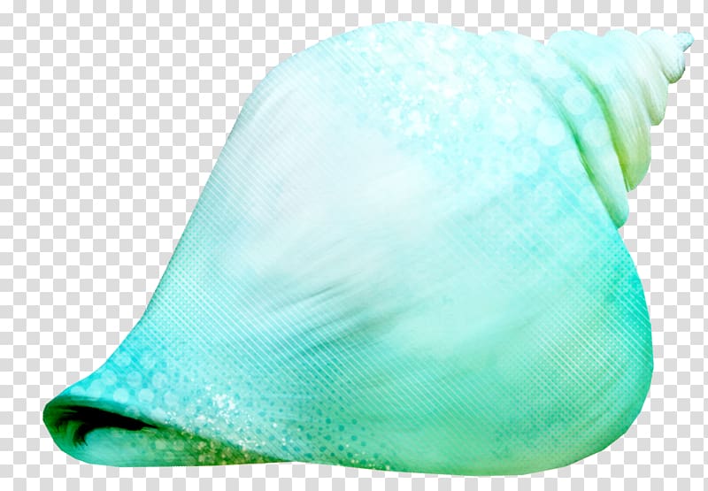 Sea snail , Green Conch pattern transparent background PNG clipart