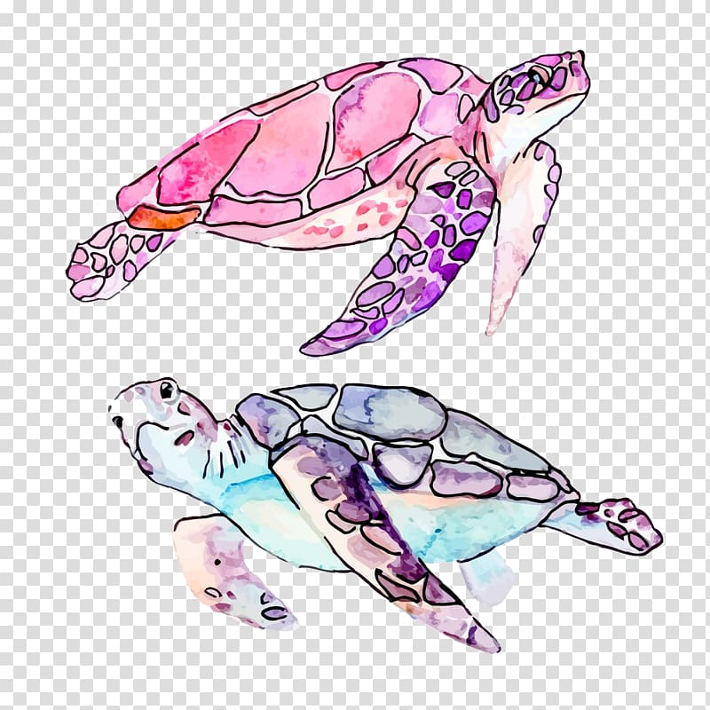 two assorted-color turtle illustrations, Sea turtle Cartoon Illustration, Drawing Turtle transparent background PNG clipart