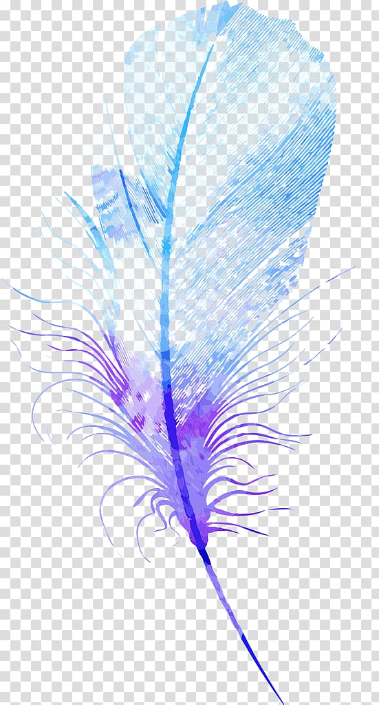 blue and purple feather illustration, Feather Euclidean , feather transparent background PNG clipart