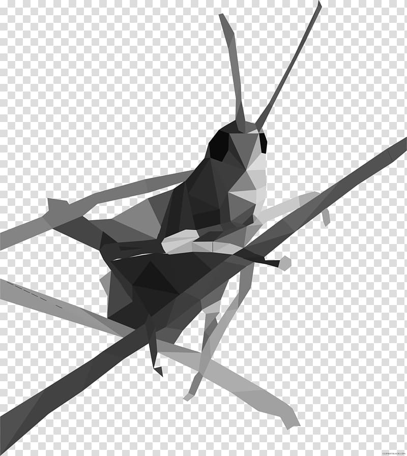 Portable Network Graphics Caelifera , grasshopper transparent background PNG clipart