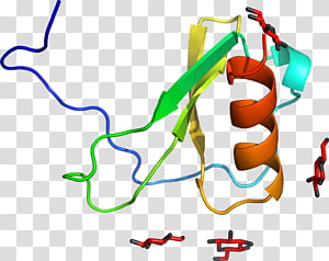 Line Point , line transparent background PNG clipart thumbnail