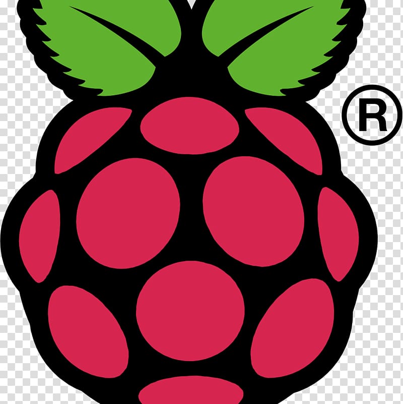 Raspberry Pi 3 Raspbian Computer, rasberry transparent background PNG clipart