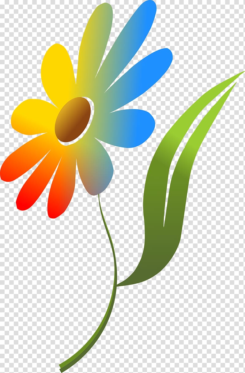 Women Computer Icons Common daisy , daisy transparent background PNG clipart