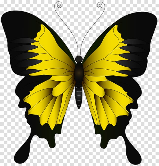 Portable Network Graphics Ulysses butterfly Illustration Brush-footed butterflies, borboleta vermelha e preta transparent background PNG clipart