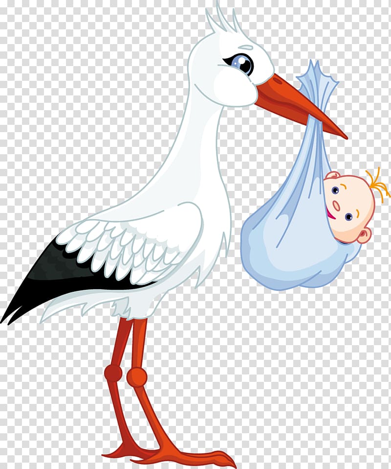 Ciconia Infant , seagull transparent background PNG clipart