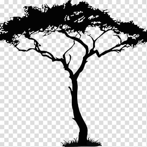 Drawing Tree Art , african tree transparent background PNG clipart