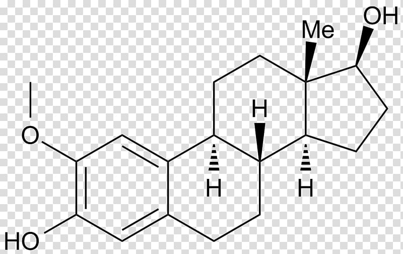 Ethinylestradiol Estrogen receptor Promestriene, kitten embryo development transparent background PNG clipart