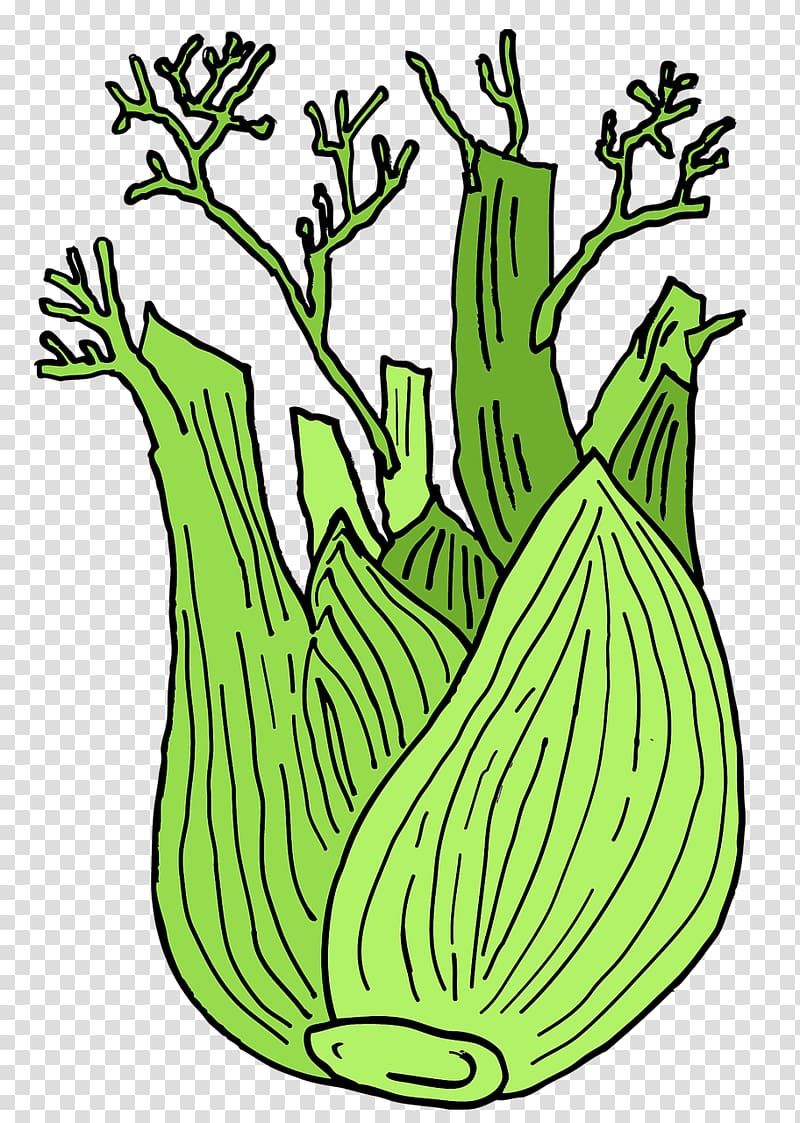 Fennel Plant Vegetable Anise Drawing, Green vegetables transparent background PNG clipart