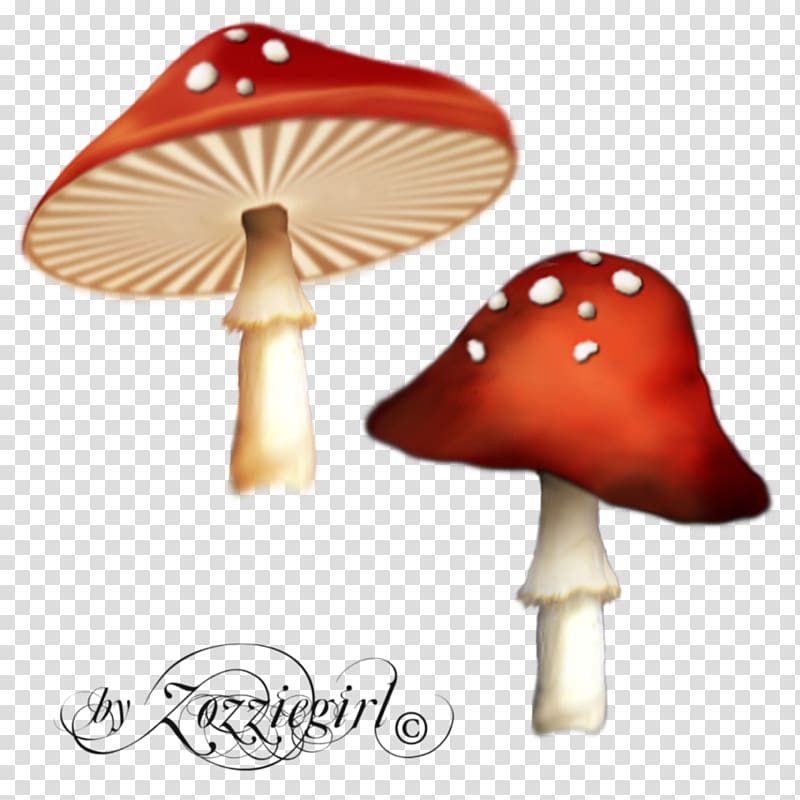 Psilocybin mushroom Computer Icons , Poisonous Red Mushroom transparent background PNG clipart