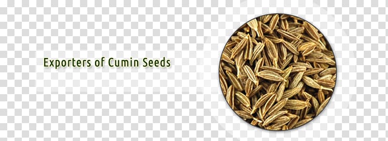 Cumin Export Ingredient Seed, sesame seed transparent background PNG clipart