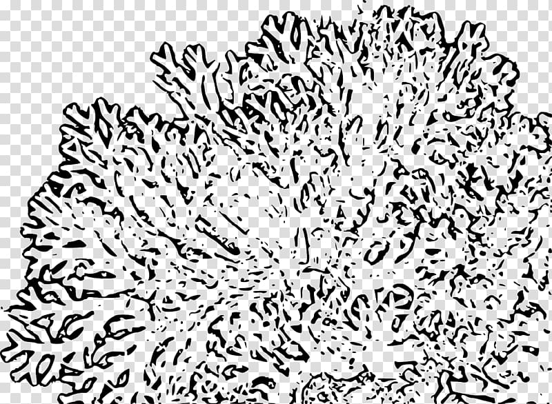 Coral reef Megabyte , Underwater illustration transparent background PNG clipart