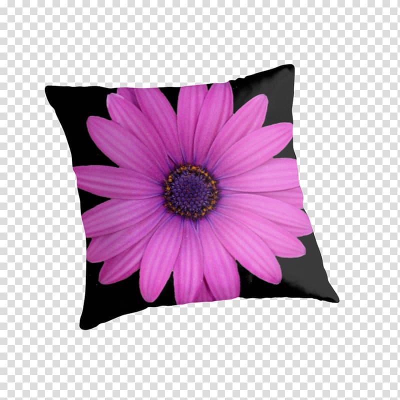Cushion Throw Pillows Minions Transvaal daisy, pillow transparent background PNG clipart