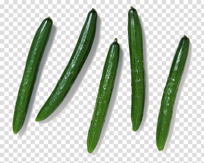 Tsukemono Cucumber Vegetable Kimchi u590fu91ceu83dc, cucumber transparent background PNG clipart