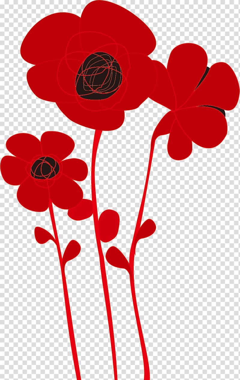 Common poppy, poppy transparent background PNG clipart