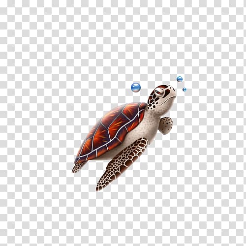 Sea turtle Reptile Icon, Free cartoon turtles clip buckle transparent background PNG clipart